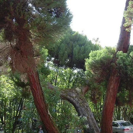 Alcazar 3* Irun